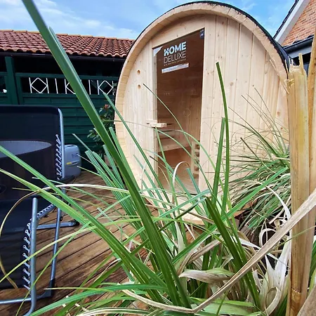 Ferien Im Wangerland Muschel Minsen Hund Pool Sauna
