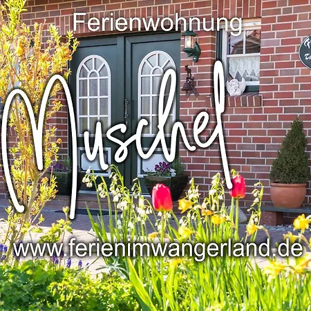Appartamento Ferien Im Wangerland Muschel Minsen Hund Pool Sauna Schillig